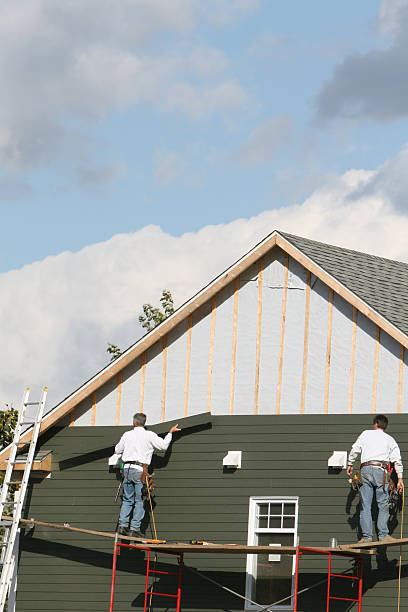 Best Hoarding Cleanup  in Egypt Lake Leto, FL